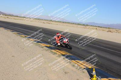 media/Nov-12-2023-SoCal Trackdays (Sun) [[5d1fba4e7d]]/Turn 14 Inside (2pm)/